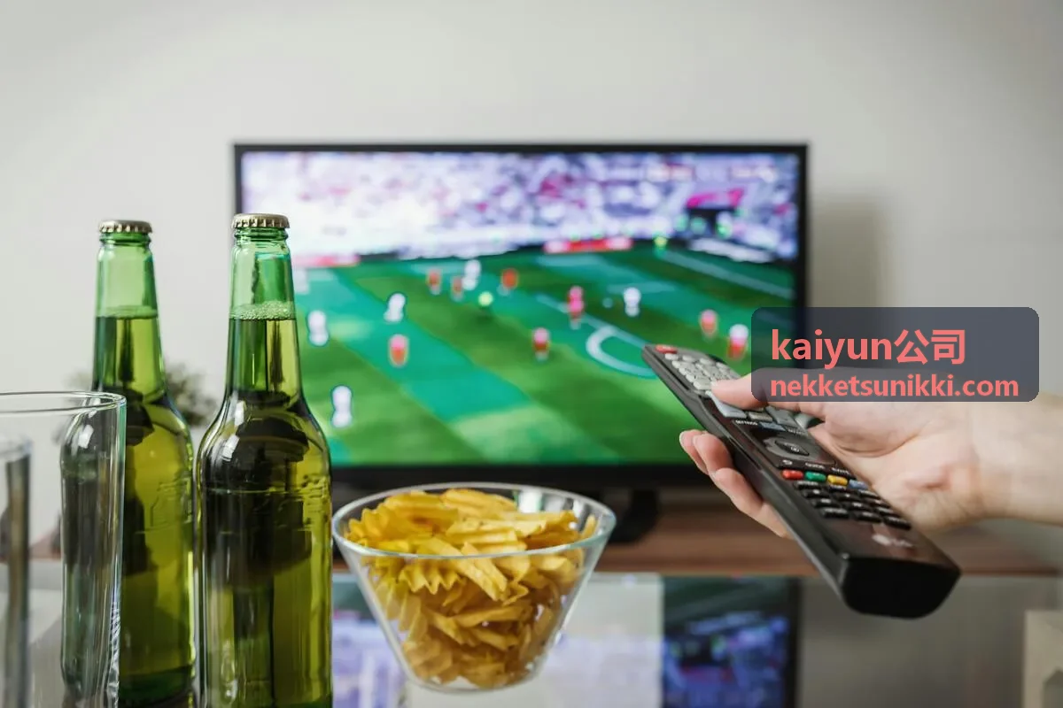 kaiyun公司对象存储与备份方案配图