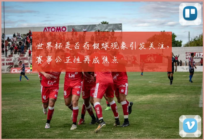 世界杯是否存假球现象引发关注，赛事公正性再成焦点