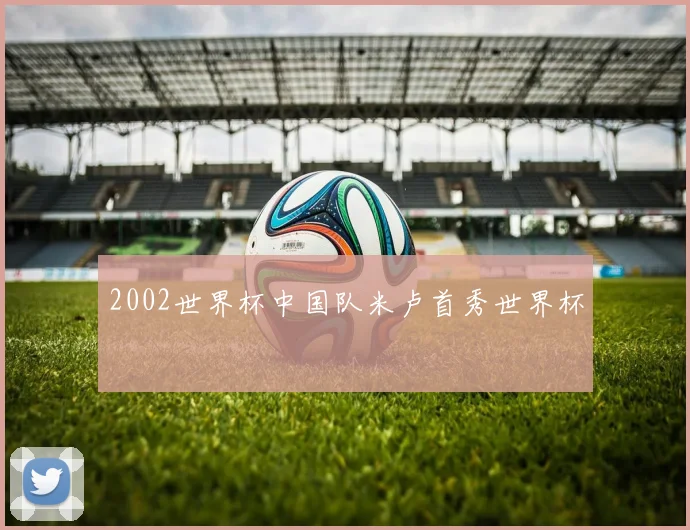 2002世界杯中国队米卢首秀世界杯