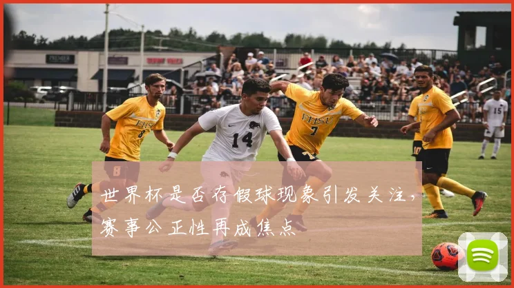 世界杯是否存假球现象引发关注，赛事公正性再成焦点