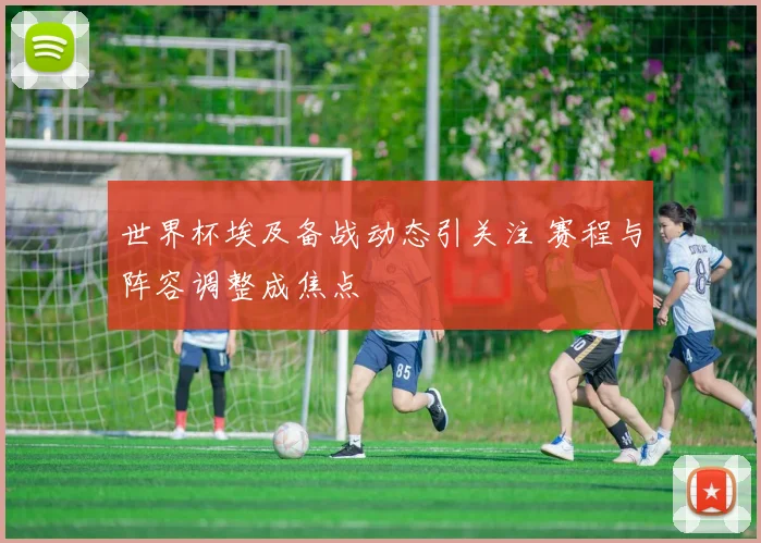 世界杯埃及备战动态引关注 赛程与阵容调整成焦点