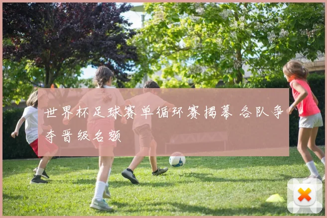 世界杯足球赛单循环赛揭幕 各队争夺晋级名额