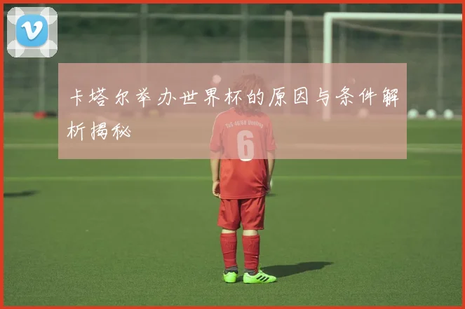 卡塔尔举办世界杯的原因与条件解析揭秘