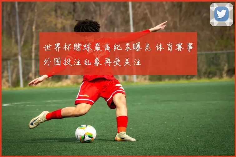 世界杯赌球最高纪录曝光 体育赛事外围投注乱象再受关注