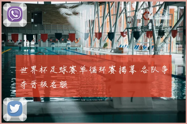 世界杯足球赛单循环赛揭幕 各队争夺晋级名额