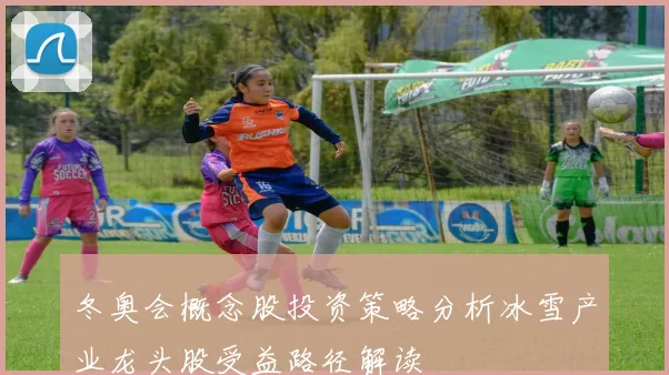 冬奥会概念股投资策略分析冰雪产业龙头股受益路径解读