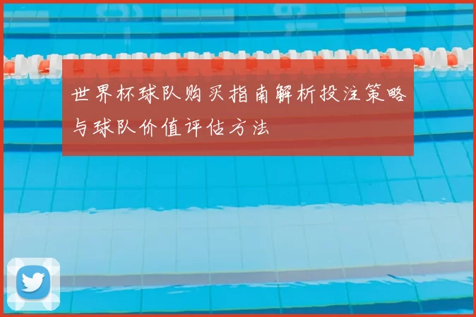 世界杯球队购买指南解析投注策略与球队价值评估方法