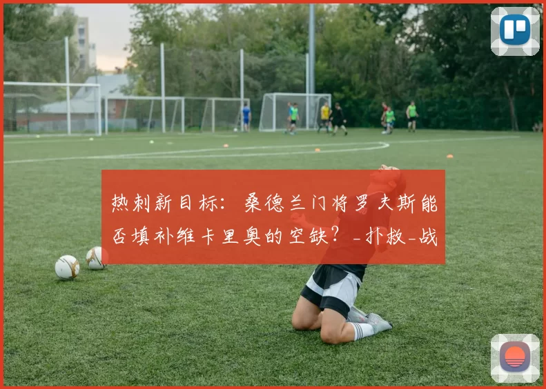 热刺新目标：桑德兰门将罗夫斯能否填补维卡里奥的空缺？_扑救_战术_国米