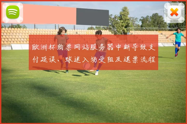 欧洲杯购票网站服务器中断导致支付延误、球迷入场受阻及退票流程延长