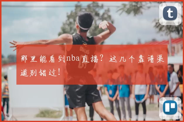 那里能看到nba直播？这几个靠谱渠道别错过！